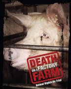 death-on-a-factory-farm