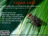 07-vegancafe2011_1