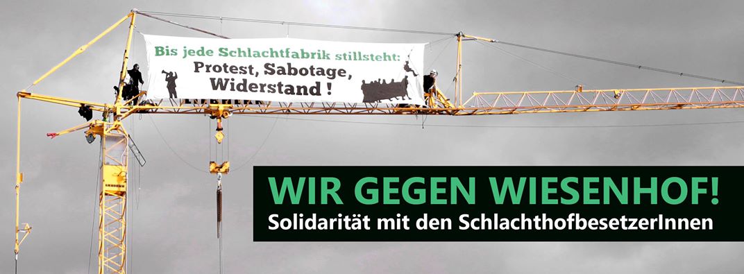 Solidarität kampagne gegen tierfabriken