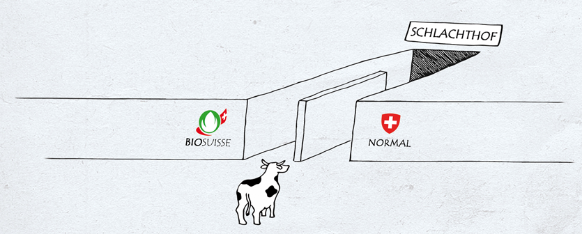 Bio oder normal Schlachthof Tierrechtsgruppe Zürich
